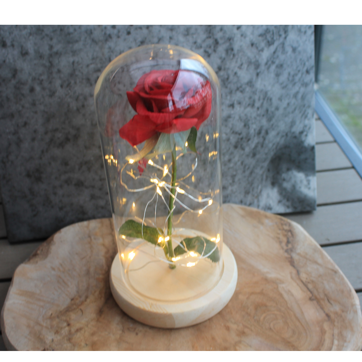 Mooie Enchanted Rose van de Disney klassieker Belle en het Beest