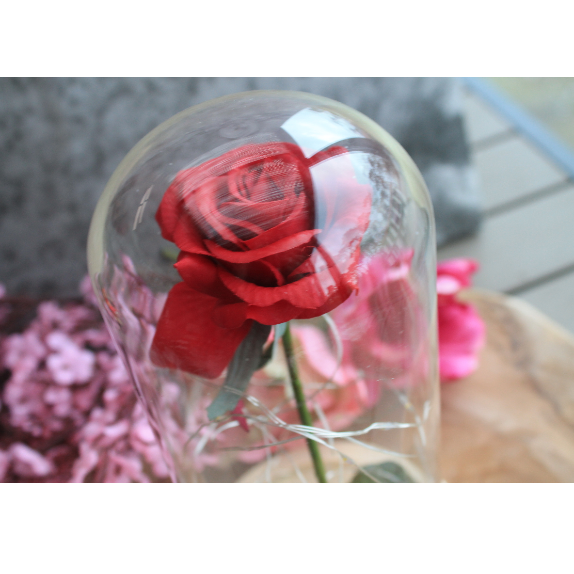 Mooie Enchanted Rose van de Disney klassieker Belle en het Beest