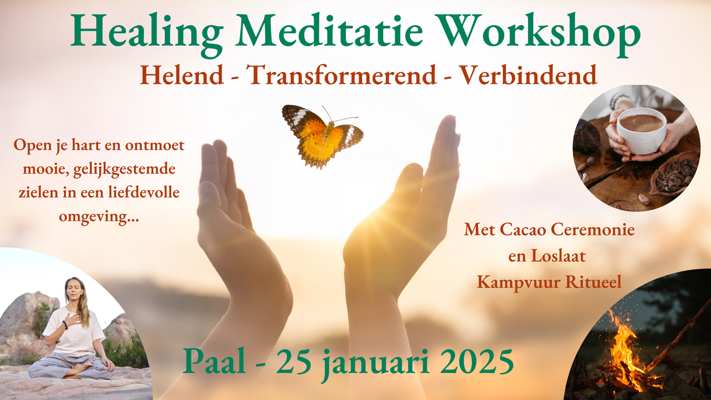 Deelname: Healing Meditatie Workshop